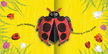 My First Pop-Up: Bugs