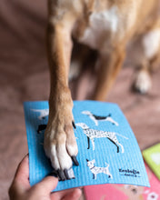 Dog Days Swedish Dishcloth