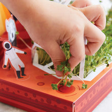 Microgreens Diy Kits