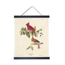 Vintage Audubon Cardinal Bird Print w/ optional frame