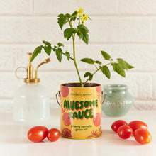 Complimentary Color Plant Growing Kits