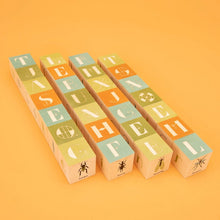 Wooden Bug Blocks