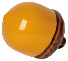 Acorns Salt & Pepper Shakers Set