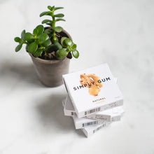 Simply Gum - Natural + Plastic Free Chewing Gum (Multiple Flavors)
