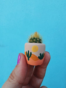 Desert Pot w/ Cactus Mini Planter