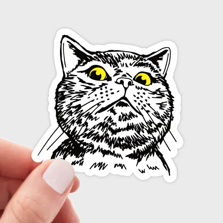 Judgy Cat Sticker