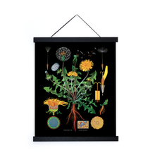 Vintage Botanical Black Dandelion Print