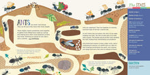 Hello, World! Kids' Guides: Exploring Insects