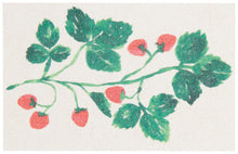 Berry Bramble Pop Up Sponges (Set of 4 Assorted)