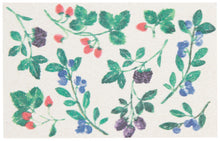 Berry Bramble Pop Up Sponges (Set of 4 Assorted)