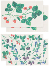 Berry Bramble Pop Up Sponges (Set of 4 Assorted)