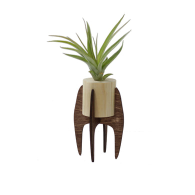 Mini Air Plant Stand With Plant