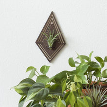 Diamond Air Plant Wall Hanger With Plant