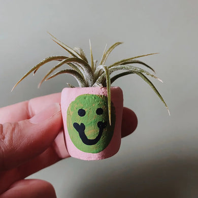 Pink Smiley Mini Planter