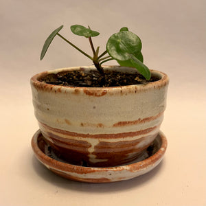 Handmade Pots With Plants by Jennica Kruse