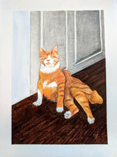 Cats On Rugs by Mari M. (9 x 12)