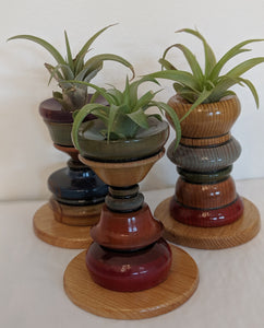 Air Plant Holders (includes air plant)