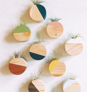 Magnetic Circle Air Plant Holders