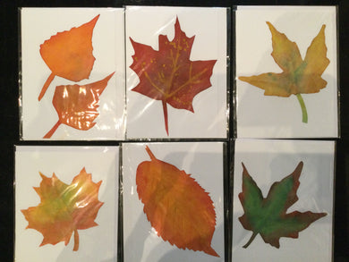 Leaf decoupage Cards (Assorted) by Katrina Ulrich