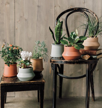 colorful pots for indoor plants Nectar Nest Plant Pot